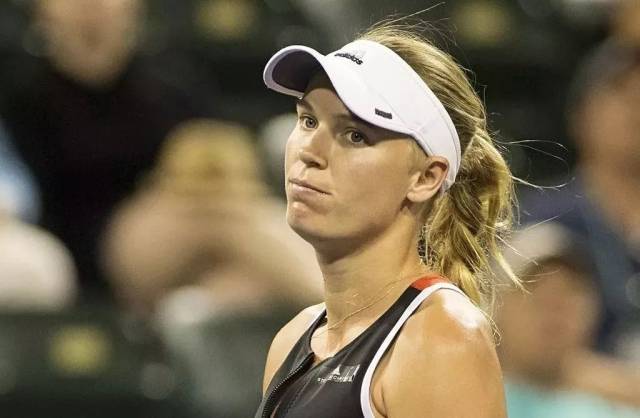 场便展现了 场便展现了