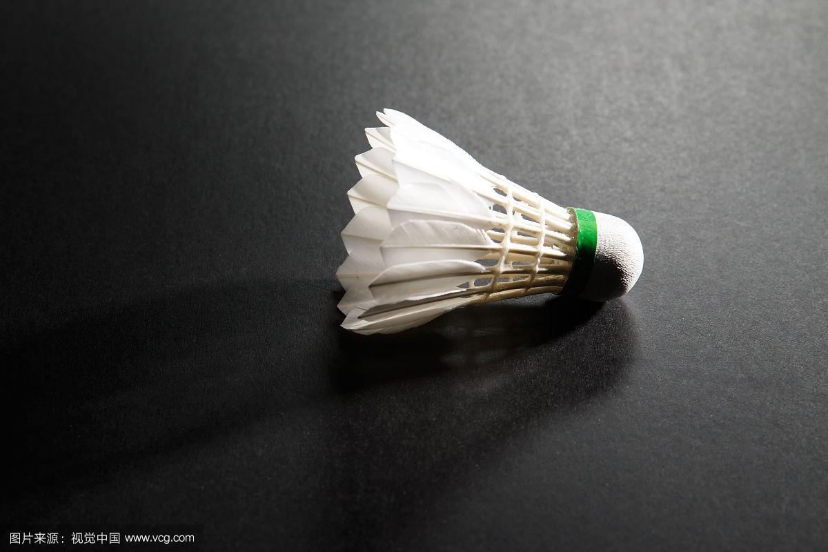 奠定了基础 奠定了基础